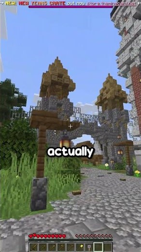 Servers that make Minecraft BETTER! #minecraft #earth #earthsmp #smp