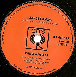 The Seashells - Maybe I Know