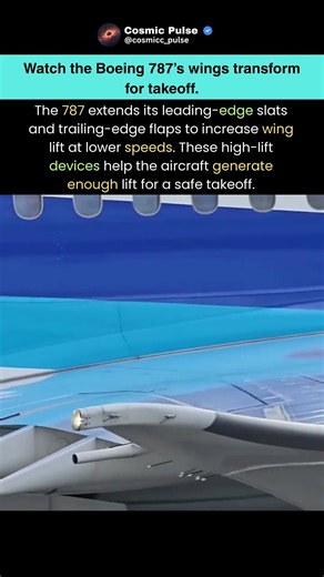 Watch the Boeing 787’s Wings TRANSFORM for Takeoff! 😳✈️ #shorts #trending #viralvideo #viral #video