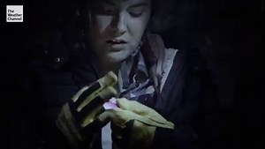 18K views · 84 reactions | An adventurous couple push their limits too far and get trapped in a cave, with only each other and their courage to help them stay alive. Watch a NEW episode of Could You Survive? with Creek Stewart this Sunday at 10/9c. | The Weather Channel | Facebook