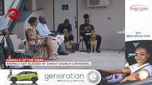 Animals Get Blessed At Christ Church Cathedral It's that time again, where we highlight the work of the Bahamas Humane Society. Our Marlena Leonard Our News highlights an annual tradition for animal lovers supported by the Humane Society - the blessing of the animals! | Our News Bahamas