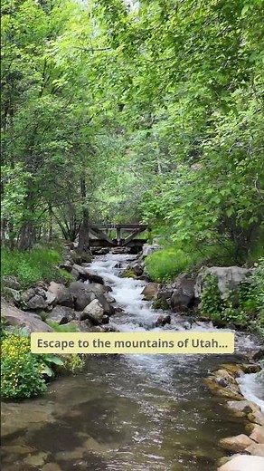 A Peaceful Escape at Sundance, Utah 🌲