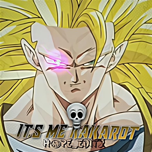 KAKAROT #invincible