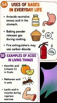 Acid Base and Salt Notes