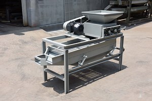 [Hot Item] Automated Manufacturing Almond Cutting Machine