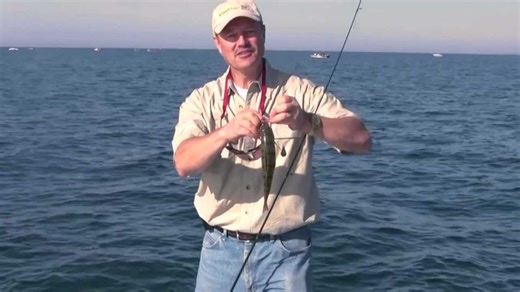 How to catch jumbo perch in the fall