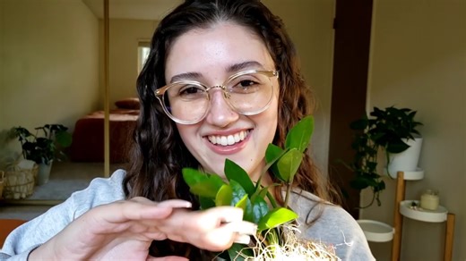 【Jocie B ASMR】长指甲的敲击+抓挠音，好温油喲