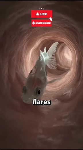 Never Pee in the Amazon River #interesting #3d #facts #3danimation #history