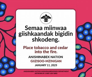 Want to learn Anishinaabemowin? Check out this sound byte of the January 11th phrase from the 2025 Anishinabek Nation Giizisoo-Mzinigan brought to you by our Anishinaabemowin Department! 📣 You can also access the calendar for FREE online at: LINK COMING SOON | Anishinabek Nation
