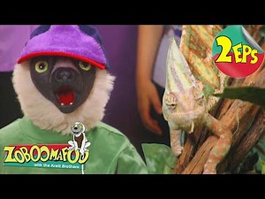 Humans + Buddies | Zoboomafoo - Double Feature | Full Episodes 47 + 48