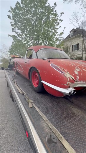 Down but not out 🥊 #corvette #chevy #c1 #automobile #corvettec1 #chevrolet #sbc #projectcar