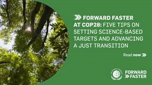 🌎 Our new listicle offers insights into five vital actions for #ClimateResilience, taken from the #ForwardFaster action guide. Read the listicle: https://www.linkedin.com/pulse/forward-faster-cop-28-five-tips-setting-oq2uf #COP28 | United Nations Global Compact