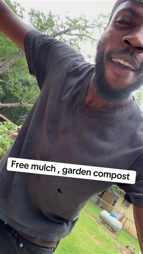 It’s free compost once a year 😶‍🌫️🌱 , or mulch or anything for a beautiful garden 💪🏾 #fyp #mulch #compost #homestead #gardening
