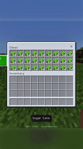 Bedrock is BETTER than Java? 😱 (Fastest Farm)