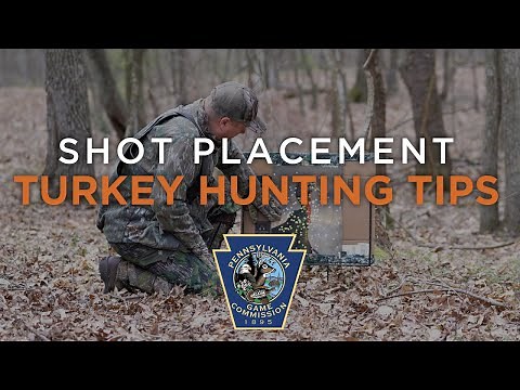 Turkey Hunting Tips- Shot Placement