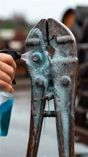 Extreme Rust Removal on Vice Grip Pliers | Full Surface Clean in 4K#shorts#viralshorts#youtubeshorts