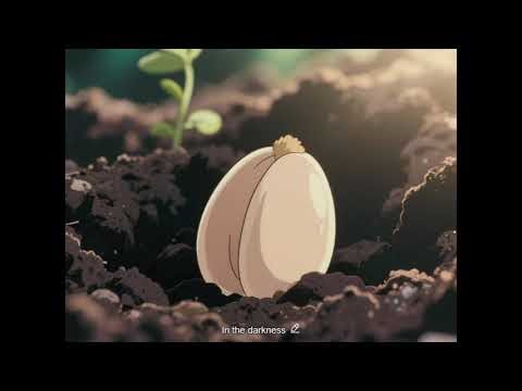 The Incredible Plant Life Cycle in 3D Animation