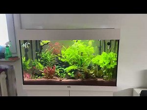 Juwel Rio 125l Aquarium
