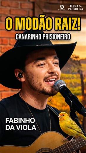 The country hit that gave everyone goosebumps on TV! 😭 Prisoner Canary - Fabinho da Viola #tradit...