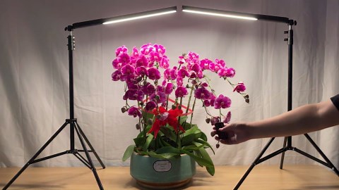 LED Light Sticks RGB Light Wand, Photography Light Stick LED Video Lighting Kit 9 Color Modes, with 26.2" to 78.7" Tripods, Adjustable 3200K-5600K, Pack of 2 [Upgraded]