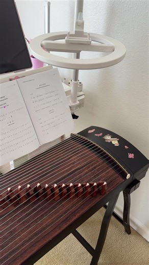 Learning Guzheng: My Musical Journey Begins