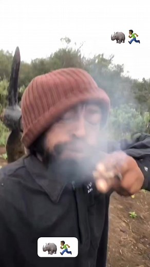 41K views · 1K reactions | 藍藍藍藍藍藍Nipfe Muthu a tshiri hetshi ndi tshone tshiṱafu(Marijuana) mara u hoṱola anga asa bvisa na muya‍♂️‍♂️‍♂️‍♂️‍♂️ | Black Rhino | Facebook