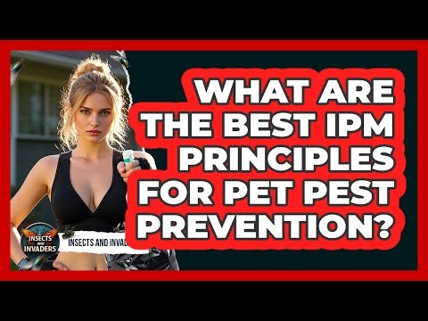 What Are The Best IPM Principles For Pet Pest Prevention? - Insects and Invaders
