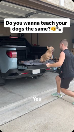 Sergey Astafyev (Lone Star Dog Training and Care) on Instagram: "There is no stubborn dogs, most of the time the problem is- lack of consistency and incorrect communication. But look- I have a solution for you 🐾😎, what you see in this video - It’s not a AI or magic tricks it’s a result of everyday work! Here is my solution for you guys- I did a video masterclass with all foundational commands and even add a pdf file. If you are ready to start learning and make your life with your dog more enjo