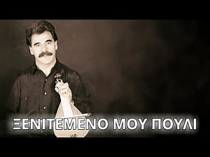 Βασίλης Σκουλάς - Ξενιτεμένο μου πουλί (Στίχοι - Lyrics) | Greek Lyric Videos