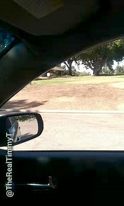 Do you guys remember that old 70's horror movie with that boy that had a thousand pet rats? Well they should remake it with me, but with Squirrels instead. | Timmy T