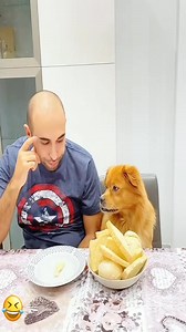 I speak fluent dog and dessert. It’s a gift. 🐾🍰 #multilingual #loyalty #funny #pet #foryou #asmr | Stanley Dirt Mardim