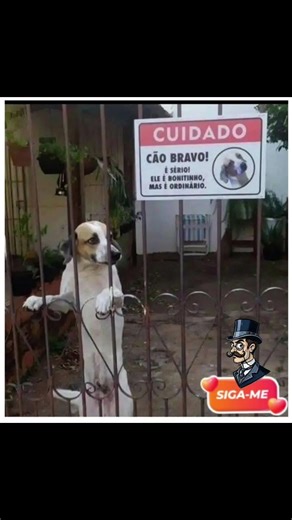 11 de fevereiro de 2026