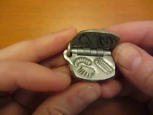 Burgess Shale Keychain - Cambrian Fossils, Paleontology Keychain - Etsy