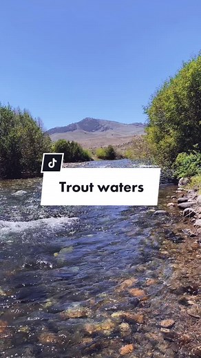 Take Me Fishing on TikTok