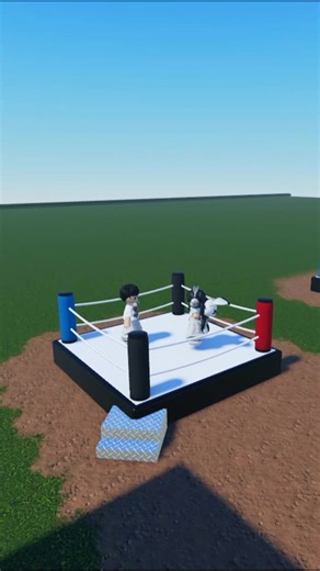 Epic Shadow Boxing Battles in Roblox!