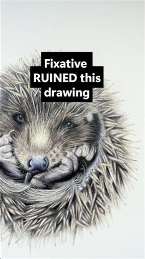 Fixative Ruined This Drawing