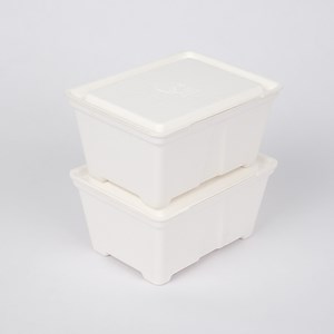 [Hot Item] Biodegradable Double Pulp Box Disposable Pulp Products Food Packaging Container
