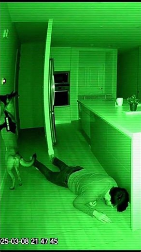 CCTV: Service Malinois Predicts Seizure & Calls for Help! 🐕📹🧃🆘🏥 | Hero Dog #shorts