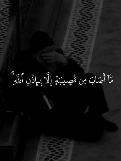 سورة التغابن كاملة بصوت ماهر المعيقلي