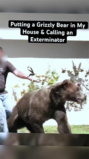 Euphoria Season 3 Premiere Date Revealed