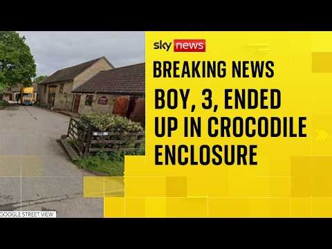 Toddler in critical condition after crocodile enclosure incident - what we know so far