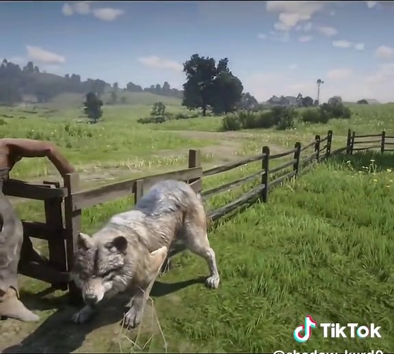 RDR2 gameplay mod animal #fyp #fypシ゚viral #fypシ #fypage #fypdongggggggg #foryou #foryoupage #foryourpage #like #likes #follow #game #game #tiktok #tik #gameplay #rdr2 #mod #animal #wolf