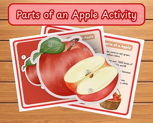 Apple Anatomy Activity | Tracing and Labeling Worksheet (printable) - Etsy