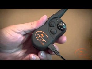 Charging Your SportDog SD-425 Training Collar