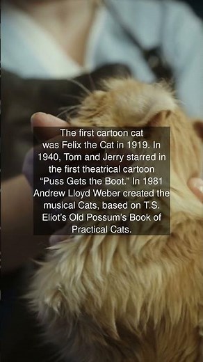 The first cartoon cat was Felix the Cat in 1919. In 1940, Tom and Jerry starred in the...