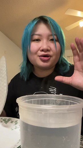 Creative Spring Roll Paper Container Hack