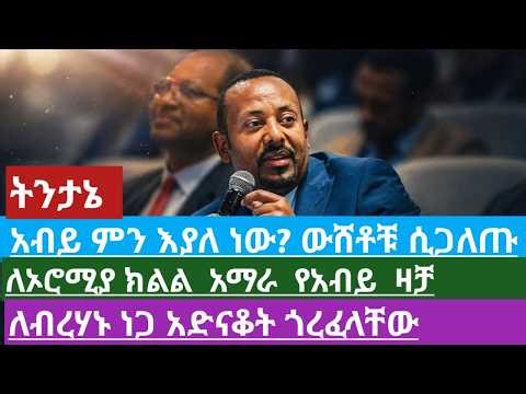 አብይ ምን እያለ ነው? ከልልሉ ውጭ ላለው አማራ የአብይ ዛቻ፣ለብረሃኑ ነጋ አድናቆት ጎረፈለት #amhara #habesha #ethiopianpolitics
