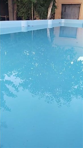 Sweemin Pool #sweeming #pool #shorts #muhammadazeem