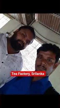 Tea Factory, Srilanka, JS Engineering, Coimbatore, India, WhatsApp : +91 9677751591