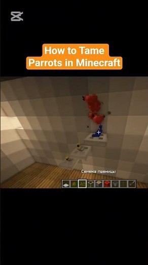 Tamed Parrots in Minecraft #minecraft #minecraftbuilding